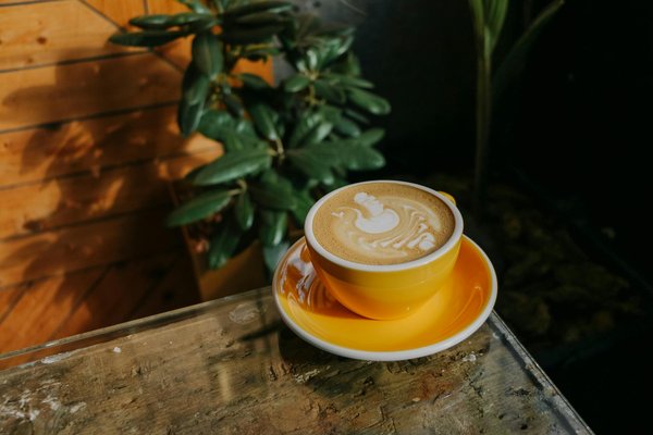 Les collections de mode du XXe siècle qui ont marqué l'histoire